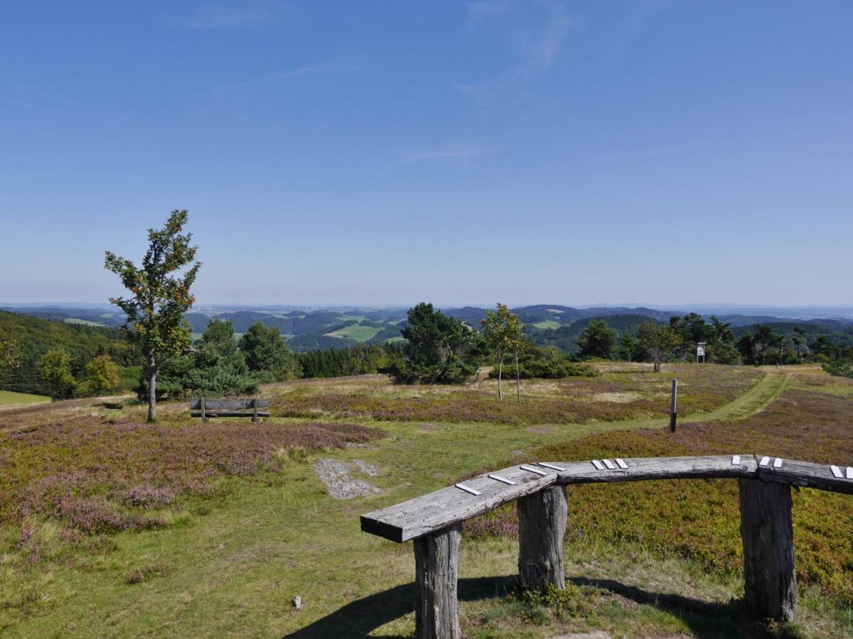 Fewo Blumes Bergfrieden Mit Meinecardplus Willingen  Exterior photo