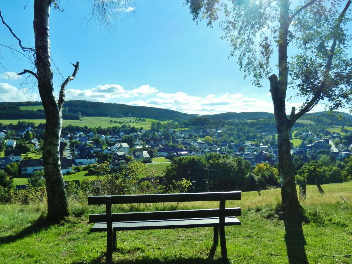 Fewo Blumes Bergfrieden Mit Meinecardplus Willingen  Exterior photo